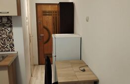 Apartament 1 cameră, 30MP, zona Centrală