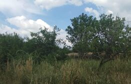 Teren intravilan 860 mp, Dancas, deschidere spre centura