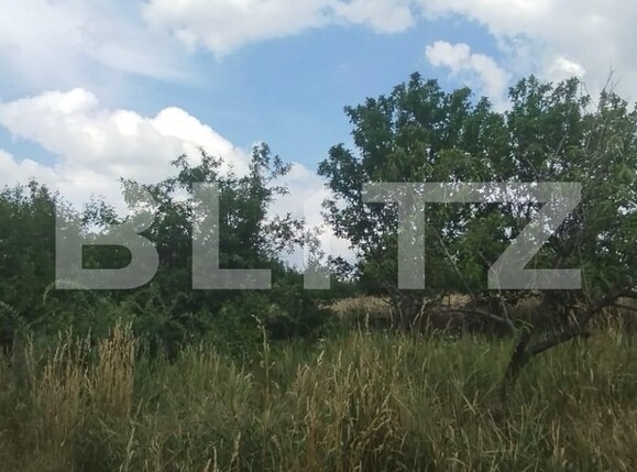 Teren de vânzare Dancas - 121872TV | BLITZ Iași | Poza4