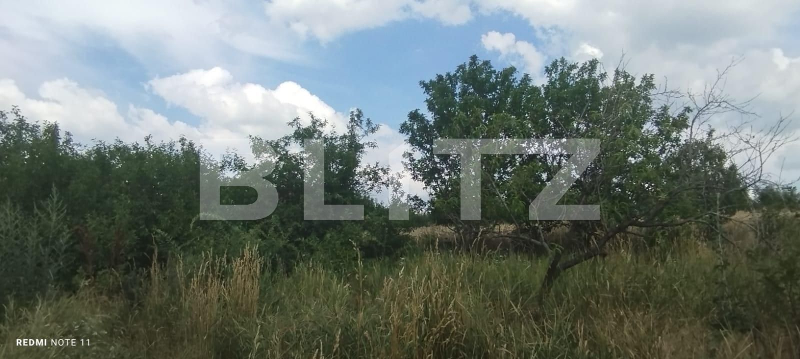 Teren de vânzare Dancas - 121872TV | BLITZ Iași | Poza4