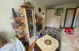 Apartament 2 camere, 38 mp, zona Podu Ros 