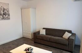 Apartament 1 cameră, decomandat, 40mp, zona Tătărași