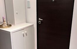 Apartament 1 cameră, decomandat, 40mp, zona Tătărași