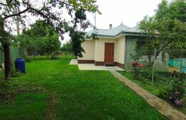 Casa 1 camera, 40mp, Tutora