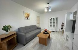 Apartament  2 camere, decomandat, 50mp, zona Păcurari