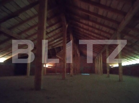 Casa de vânzare 3 camere Visani - 122106CV | BLITZ Iași | Poza4