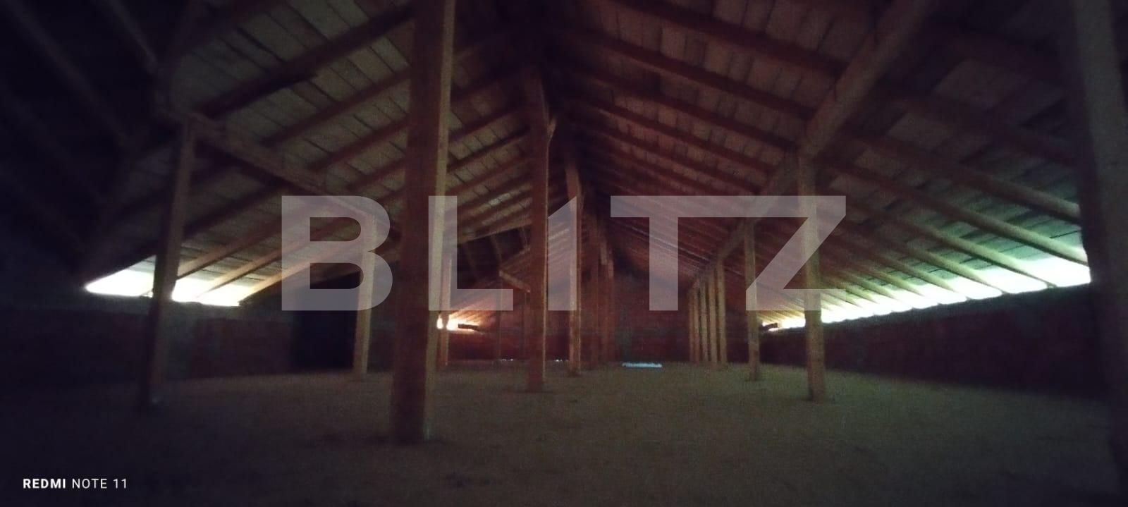 Casa de vânzare 3 camere Visani - 122106CV | BLITZ Iași | Poza4