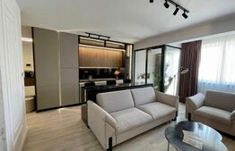 Apartament 1 camera, 38 mp, Dacia