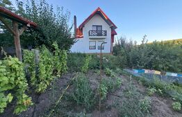 Casa 4 camere, 140 mp, 1000 mp teren, Visani