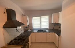 Casa tip duplex, 4 camere, 110mp utili, la strada, Visani