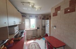 Apartament 3 camere, 73 mp, etaj intermediar, Podu Ros