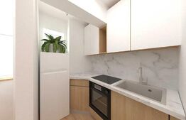 Apartament cu o camera, semidecomandat, 24mp, zona Nicolina