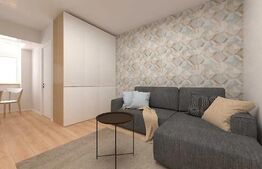 Apartament cu o camera, semidecomandat, 24mp, zona Nicolina