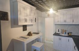 Apartament premium 1 camera, 46mp, 20 mp terasa, Conest Vision