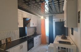 Apartament premium 1 camera, 46mp, 20 mp terasa, Conest Vision