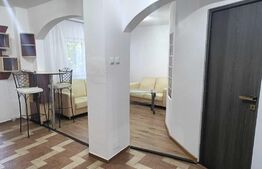 Apartament de 2 camere, 45mp, zona Podul de Fier