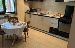 Apartament cu o camera, 20mp, zona Copou