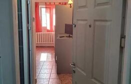 Apartament cu o cameră, 26mp, zona Alexandru cel Bun