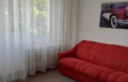 Apartament cu 3 camere, 55mp, zona Podu Roș