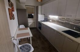 Apartament de 2 camere, 60 mp, zona Metalurgiei