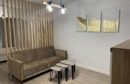 Apartament cu o cameră, 40mp, zona Tătărași
