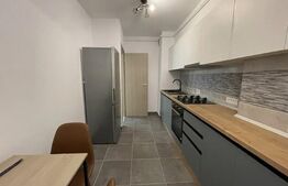 Apartament cu o cameră, 40mp, zona Tătărași
