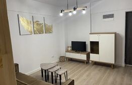 Apartament cu o cameră, 40mp, zona Tătărași
