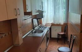Apartament de 2 camere, 50mp, zona Podu Ros