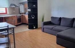 Apartament cu 2 camere, 40mp, zona Târgu Cucu