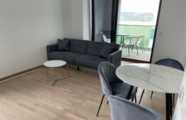 Apartament  2 camere, 56mp, zona Pacurari