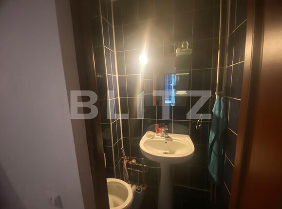Apartament de vânzare 3 camere Frumoasa - 123742AV | BLITZ Iași | Poza12