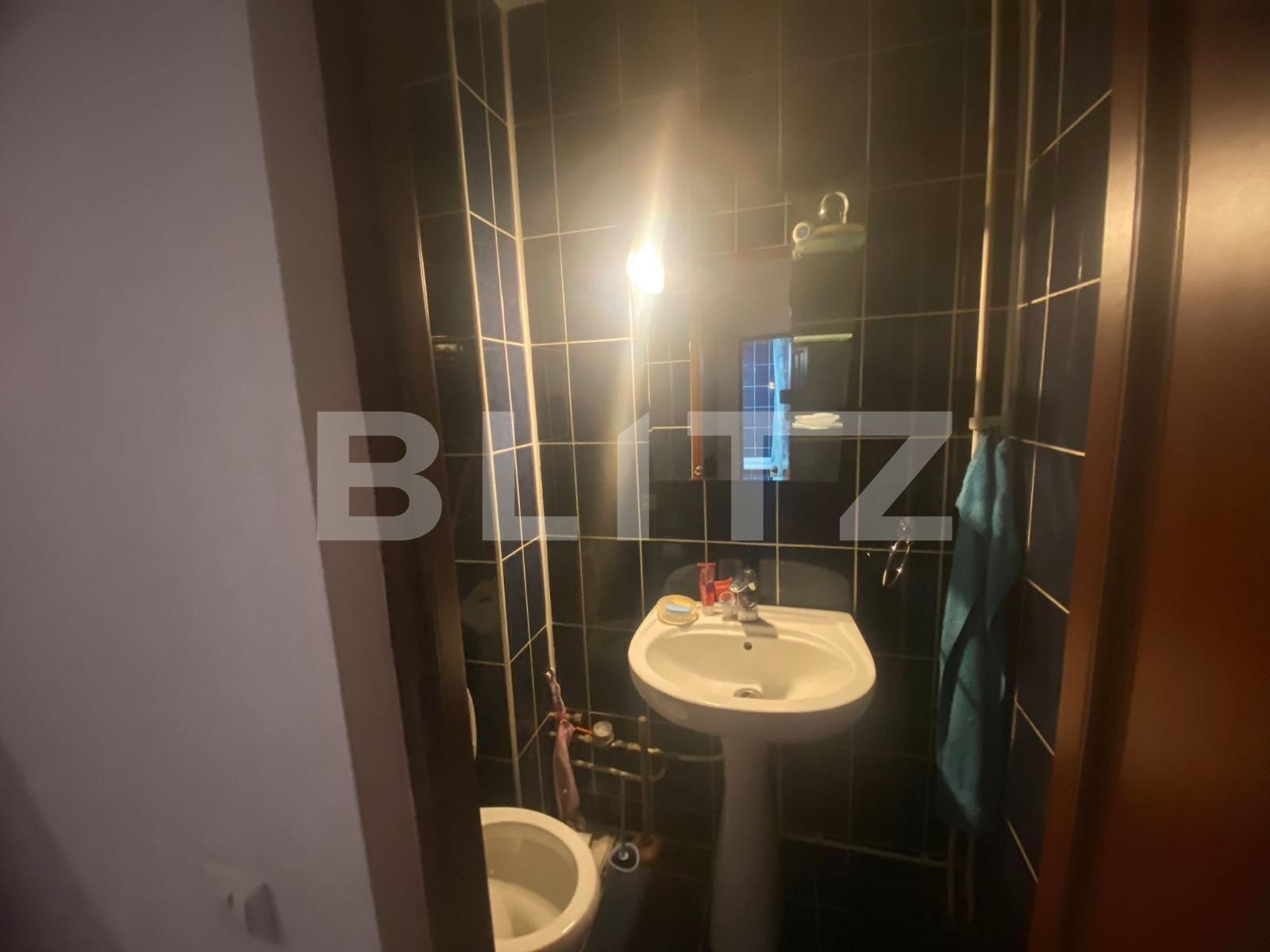 Apartament de vânzare 3 camere Frumoasa - 123742AV | BLITZ Iași | Poza12
