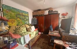 Casa cu 2 camere, 40 mp, 130 mp de teren, Nicolina