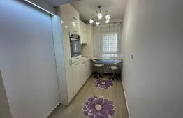 Apartament 1 camera, 43mp, LUX, zona CUG