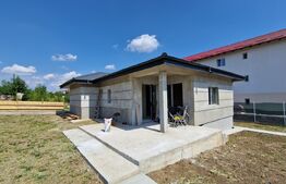 Casa plan parter, 90 mp, 400 mp teren, Horpaz