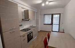 Apartament de 2 camere, semidecomandat, 55mp, zona Cug