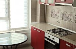 Apartament de 2 camere, 43mp, zona Păcurari