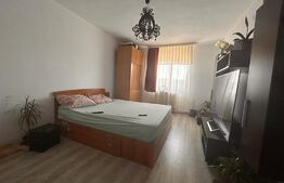 Apartament de 4 camere, 88 mp, Pacurari