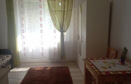Apartament cu o camera, semidecomandat, 18mp, zona Tătărași