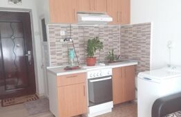 Apartament cu o camera, semidecomandat, 18mp, zona Tătărași