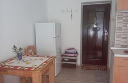 Apartament cu o camera, semidecomandat, 18mp, zona Tătărași