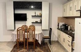 Apartament de 2 camere, 50mp, zona Ultracentrala