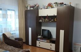Apartament 1 camere, 30 mp, cartier Cantemir