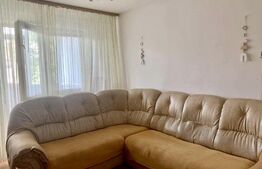 Apartament cu 2 camere, semidecomandat, 45mp, zona Păcurari