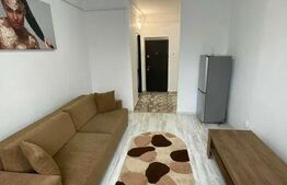 Apartament 1 camera, 22mp, zona Nicolina