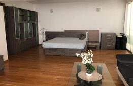 Apartament 1 camera, decomandat, 47mp, zona Centrala