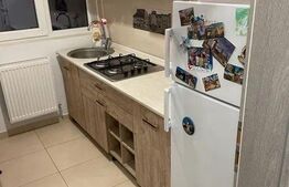 Garsoniera, 38 mp suprafata, Rediu