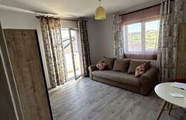 Garsoniera, 38 mp suprafata, Rediu