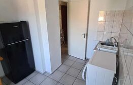 Apartament 1 camera, 34mp, cartier Tatarasi