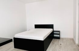 Apartament 2 camere, decomandat, 50mp, zona Podu Roș